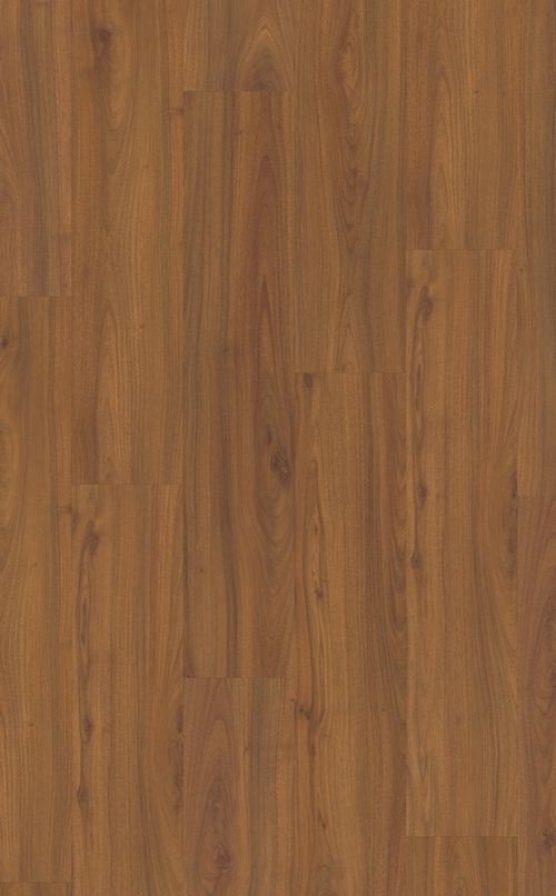 Orech Colden EPD012