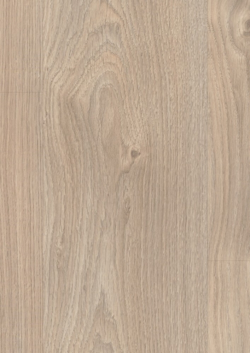 Dub Belfort strieborný EBL020