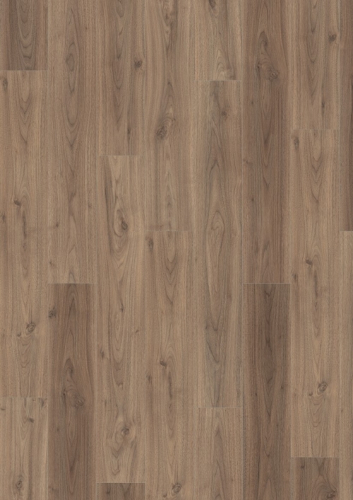 Orech Langley svetlý EPL065