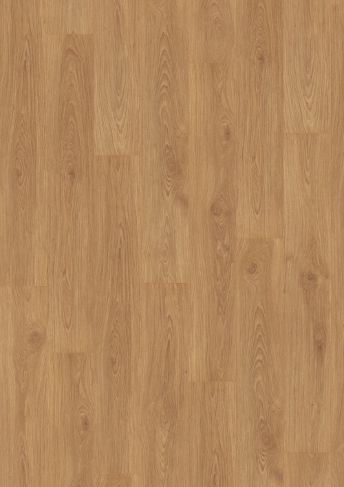 Dub Shannon medový EPL105