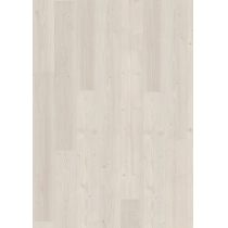 Borovica Inverey biela EPL028
